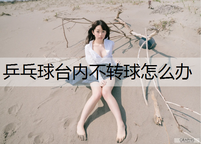 <strong>乒乓球台内不转球怎么办</strong>